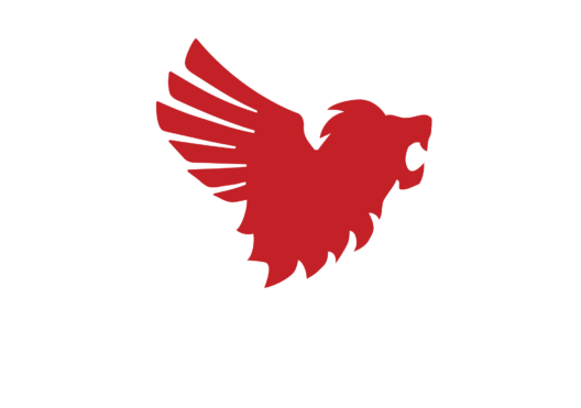 furyionlogo-2022-red-white furyionlogo-2022-red-white
